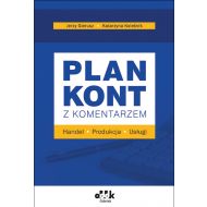 Plan kont z komentarzem handel produkcja usługi: RFK1369 - 14554702387ks.jpg