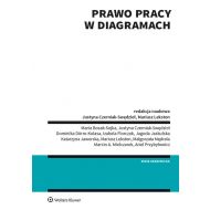 Prawo pracy w diagramach - 18047001549ks.jpg