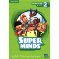 Super Minds 2 Flashcards British English - 25748903982ak.jpg