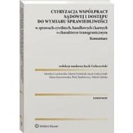 Cyfryzacja współpracy sądowej i dostępu do wymiaru sprawiedliwości w sprawach cywilnych, handlowych - 37470b01549ks.jpg