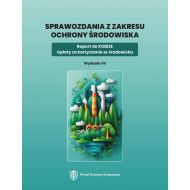 Sprawozdania z zakresu ochrony środowiska. Raport do KOBiZE. Opłaty za korzystanie ze środowiska - 38890b02000ks.jpg