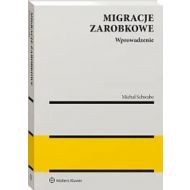 Migracje zarobkowe: Wprowadzenie do analizy - 39693b01549ks.jpg