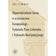 Odpowiedzialność karna w orzecznictwie Europejskiego Trybunału Praw Człowieka i Trybunału Konstytucy - 42886a01790ks.jpg