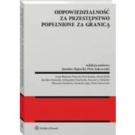 Odpowiedzialność za przestępstwo popełnione za granicą - 48654b01549ks.jpg