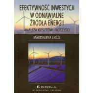 Efektywność inwestycji w odnawialne źródła energii: Analiza kosztów i korzyści - 498533i.jpg