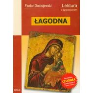 Łagodna Lektura z opracowaniem - 502660i.jpg