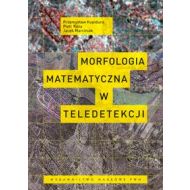 Morfologia matematyczna w teledetekcji - 509949i.jpg