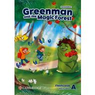 Greenman and the Magic Forest Level A Flashcards - 59824a03982ks.jpg