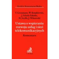 Ustawa o wspieraniu rozwoju usług i sieci telekomunikacyjnych Komentarz - 598609i.jpg