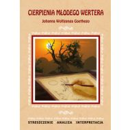 Cierpienia młodego Wertera Johanna Wolfganga Goethego: Streszczenie. Analiza. Interpretacja - 610179i.jpg