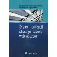 System realizacji strategii rozwoju województwa - 618276i.jpg