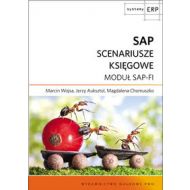 SAP Scenariusze księgowe: Moduł SAP-FI - 626966i.jpg