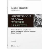 Archeologia sądowa w teorii i praktyce - 65330a01549ks.jpg