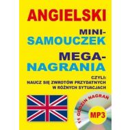 Angielski Mini-samouczek Mega-nagrania Naucz się zwrotów przydatnych w różnych sytuacjach: 11 godzin nagrań mp3 - 667303i.jpg