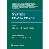 System prawa pracy Tom 6: Procesowe prawo pracy - 767591i.jpg