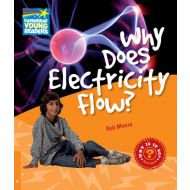 Why Does Electricity Flow?: Level 6 Factbook - 793908i.jpg