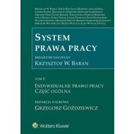 System prawa pracy Tom 2 Indywidualne prawo pracy Część ogólna - 860201i.jpg