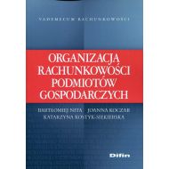 Organizacja rachunkowości podmiotów gospodarczych - 864035i.jpg