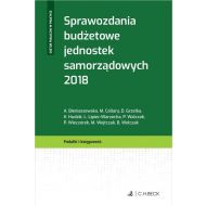 Sprawozdania budżetowe jednostek samorządowych 2018 - 909387i.jpg