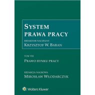 System Prawa Pracy Tom 7 Prawo rynku pracy: Prawo rynku pracy - 940794i.jpg