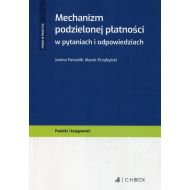 Mechanizm podzielonej płatności w pytaniach i odpowiedziach. Podatki i księgowość - 95283100106ks.jpg