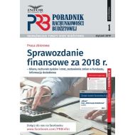 Sprawozdanie finansowe za 2018 r. - bilans, rachunek zysków i strat, zestawienie zmian w funduszu, informacja dodatkowa. Poradnik Rachunkowości Budżetowej 1/2019 - 95730601428ks.jpg